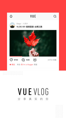 VUE Vlog截图2