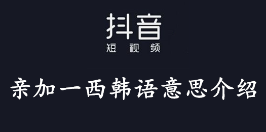 抖音亲加一西韩语什么意思 抖音亲加一西韩语含义解释