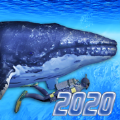 DivingSimulator2020