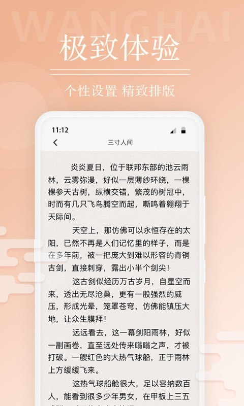 望海阅读截图2