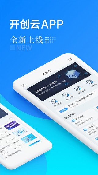 开创云截图3