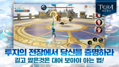 Tera Hero截图4