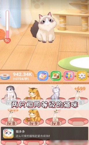 猫多多截图2