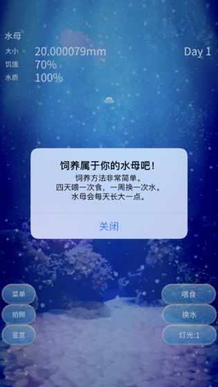 养育水母的治愈游戏截图5