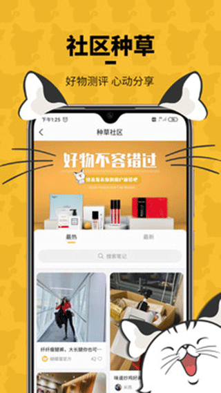 蝴蝶猫最新版截图3