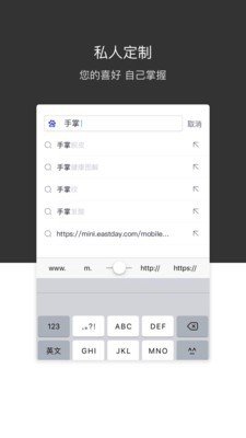 绿叶浏览器截图2