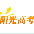 教育部2020高考网上咨询平台