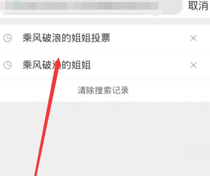 乘风破浪的姐姐投票截图1