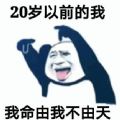 20岁以前的我表情包截图2