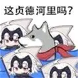 这合理吗表情包截图2