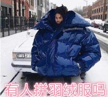 有人拼羽绒服吗表情包