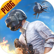 pubgmobile国际服辅助