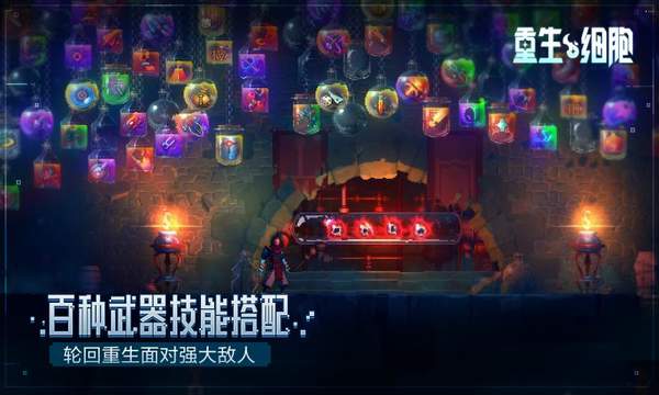 重生细胞无邪魔极天道截图1