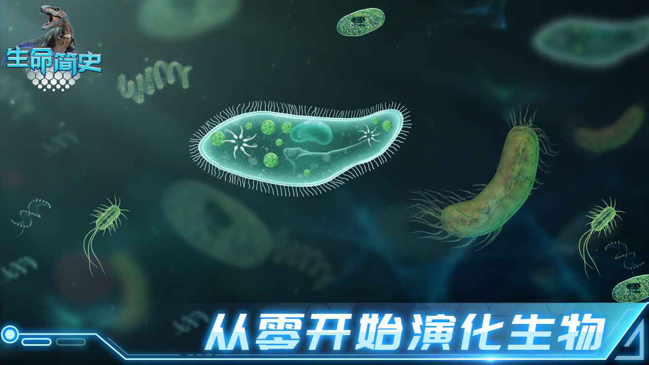 生命简史最新版截图3