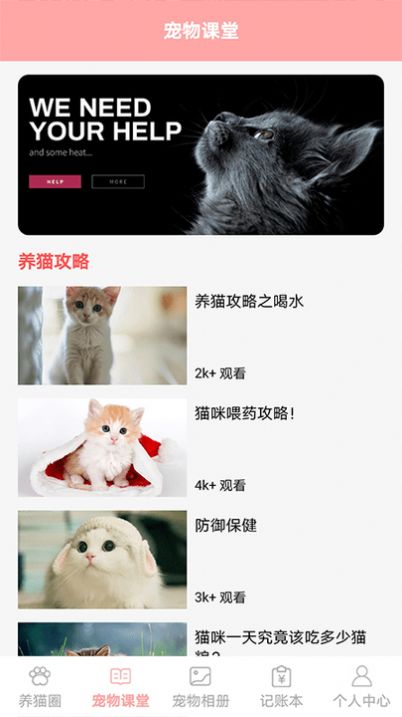 遇见我的猫养猫安卓版截图2