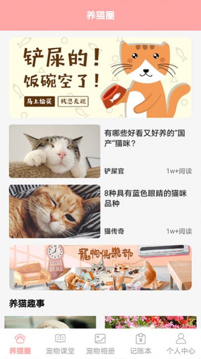 遇见我的猫养猫安卓版截图3