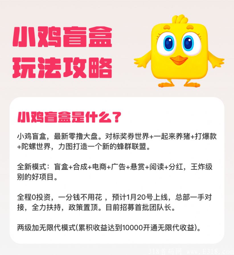 小鸡盲盒官方版截图