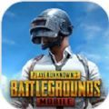 pubgmobile.cσm国际服和平精英