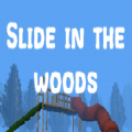 森林中的滑梯Slide in the woods