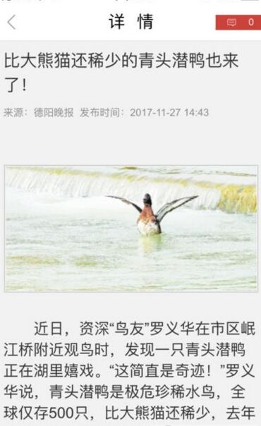 今日德阳安卓版截图3