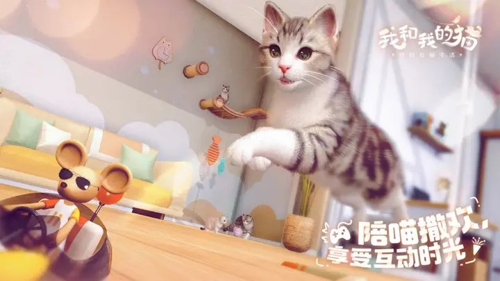 我和我的猫截图3