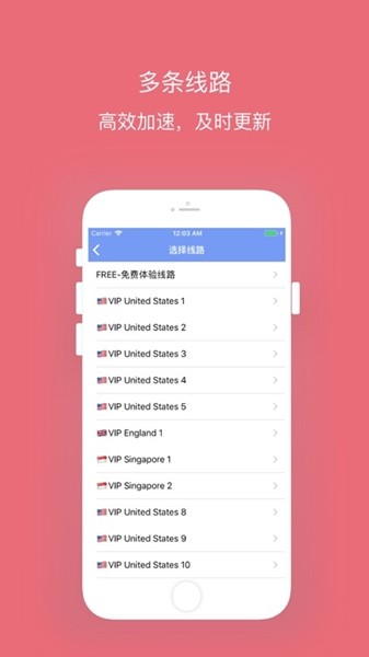 西柚加速器手机版截图1