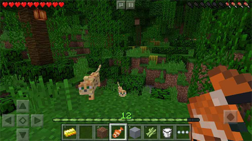 minecraft1.21国际版