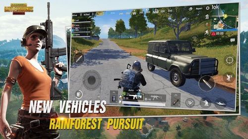 PUBG体验服白开水国体直装