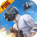 PUBG体验服白开水国体直装