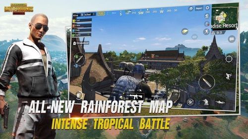 PUBG体验服白开水国体直装截图2