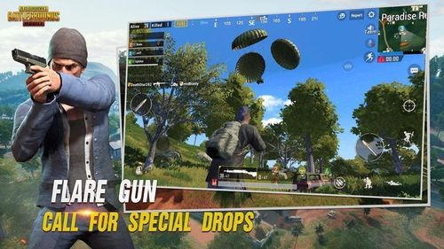 PUBG体验服白开水国体直装截图3