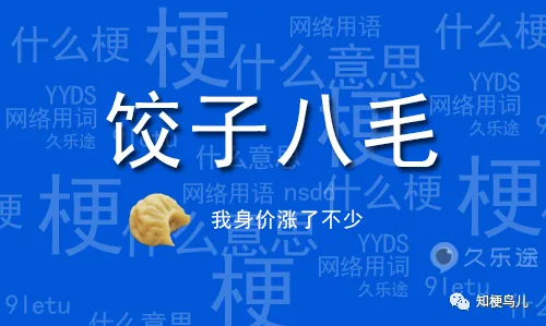 8毛饺是什么梗-8毛饺子男是什么梗-8毛饺子出自哪里