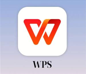 wps表格分类汇总在哪里找-WPS表格分类汇总使用教程