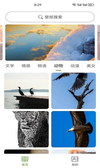 白叶壁纸app官方版截图3