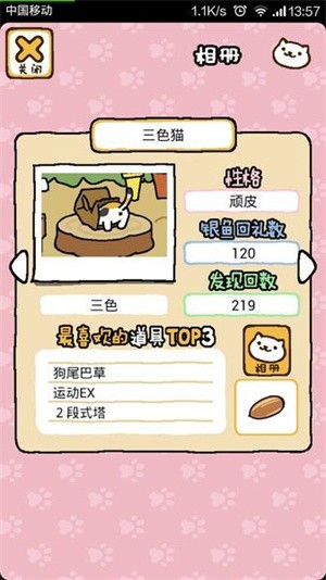 猫咪后院游戏汉化版截图