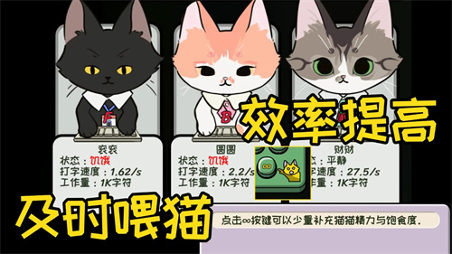 无限猫猫计划