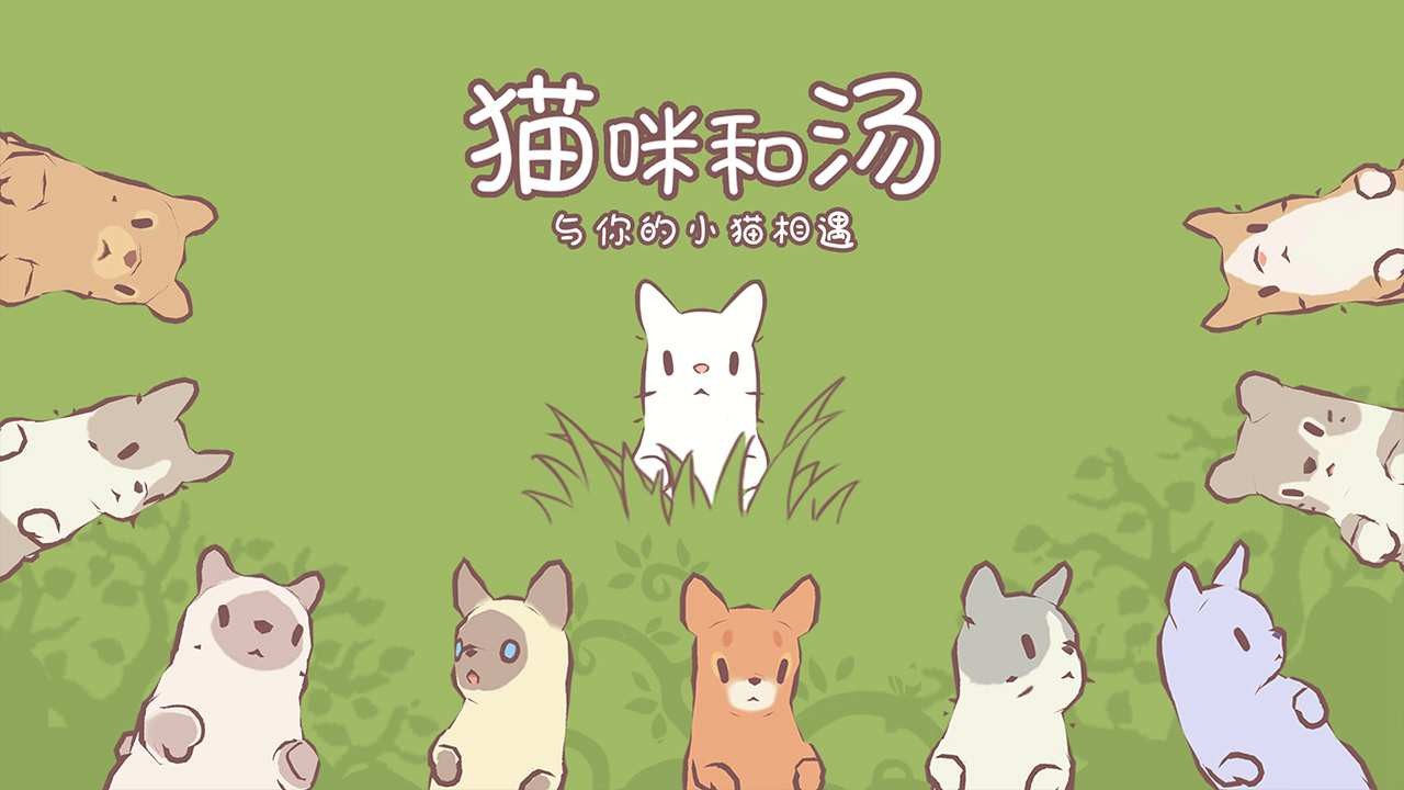 猫咪和汤最新版