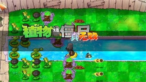 植物大战僵尸真无双版截图1