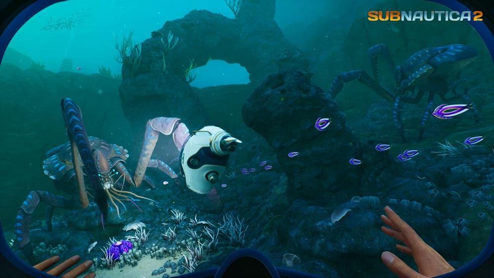 Unknown Worlds公开《Subnautica 2》最新信息