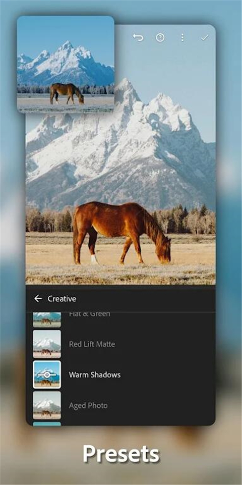 lightroom手机版