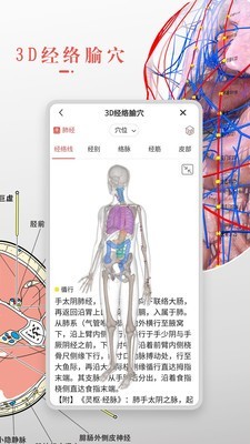 3dbody解剖app免费版