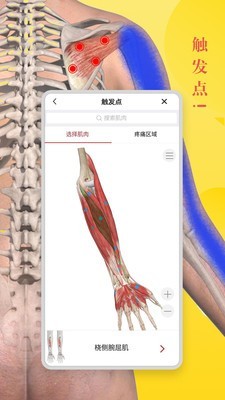 3dbody解剖app免费版